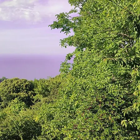Casa de Férias Venieri's Stone Tsagarada