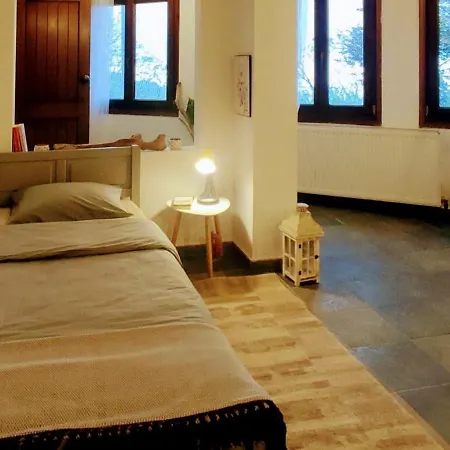 Casa de Férias Venieri's Stone Tsagarada