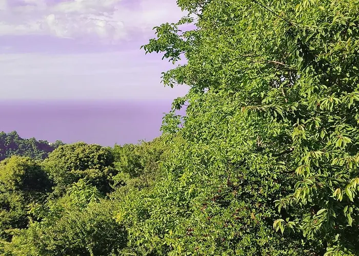 Holiday home Venieri's Stone Tsagarada